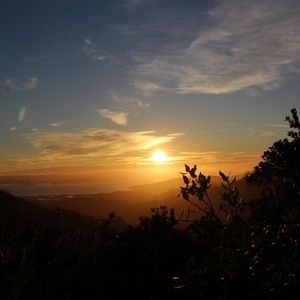 Meet your Posher, Lucy